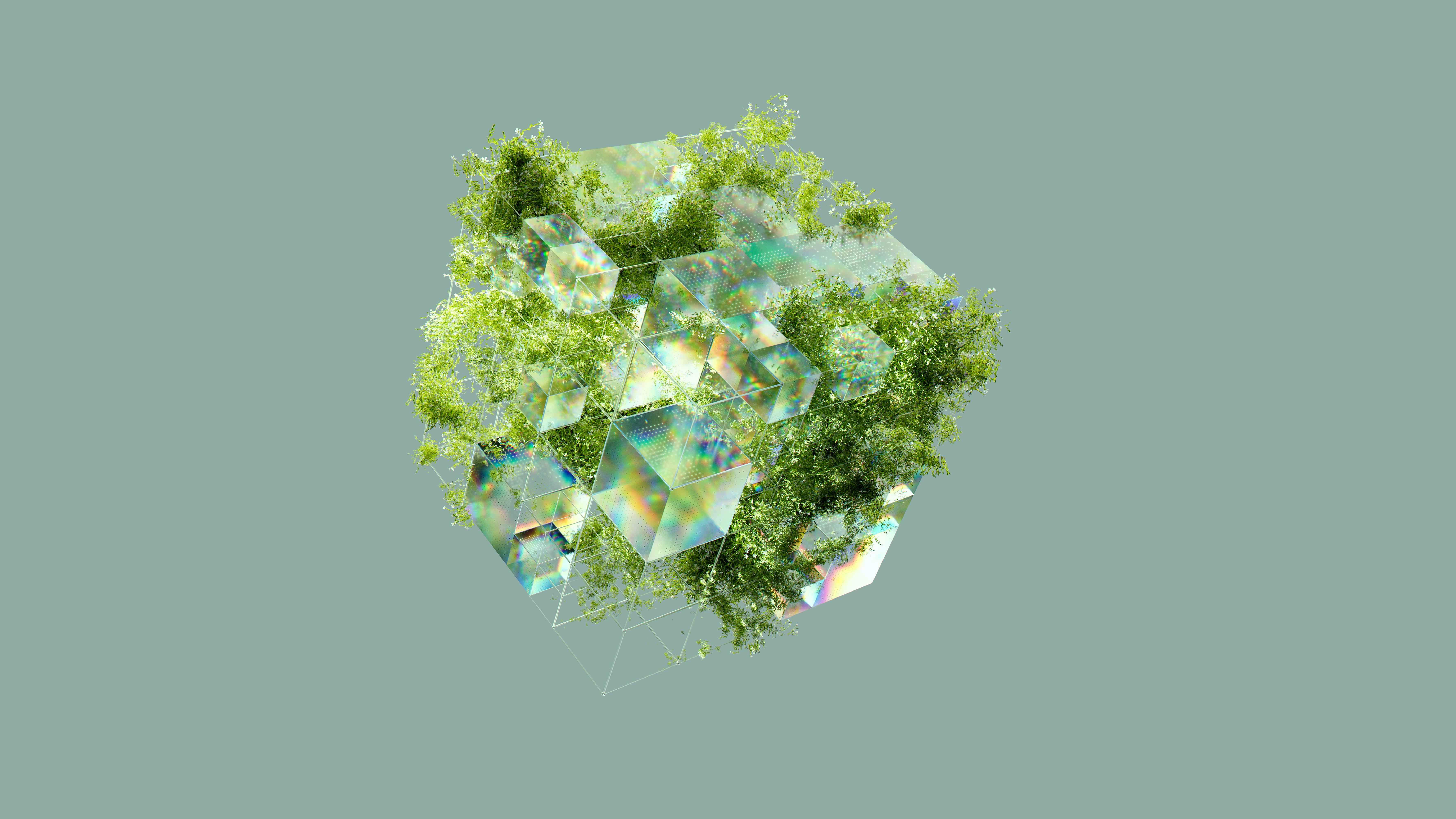 Lush Ecosystem Image